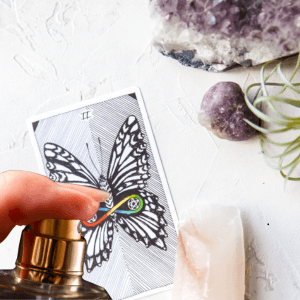 imagen de Perfumes para el Amor y Sensualidad: Atrae, Conquista y Vibra
